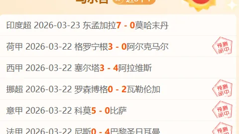 亚冬会吉祥物发展历程：从“豆豆”到“滨滨”“妮妮”，探寻其背后的故事与深层寓意